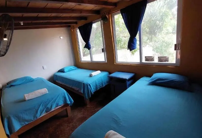 اتاق استاندارد سه نفره, Tower Bridge Hostel