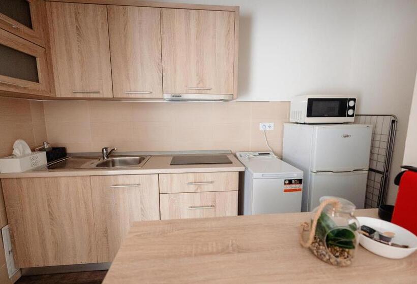 デラックスルーム, Aparthotel Punct Pe I