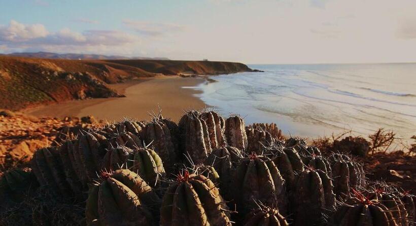 Номер Стандарт, Tifawin Home And Garden