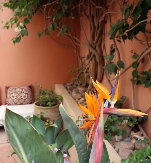 Номер Стандарт, Tifawin Home And Garden