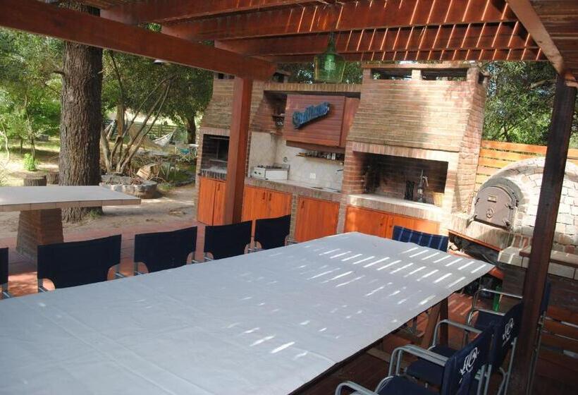 آپارتمان 1 خوابه با تراس, Puerto Carrasco