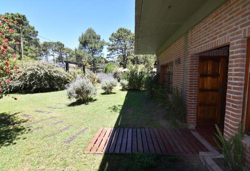 آپارتمان 1 خوابه با تراس, Puerto Carrasco