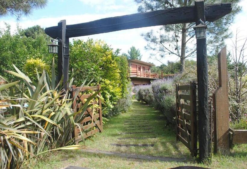 آپارتمان 1 خوابه با بالکن, Puerto Carrasco