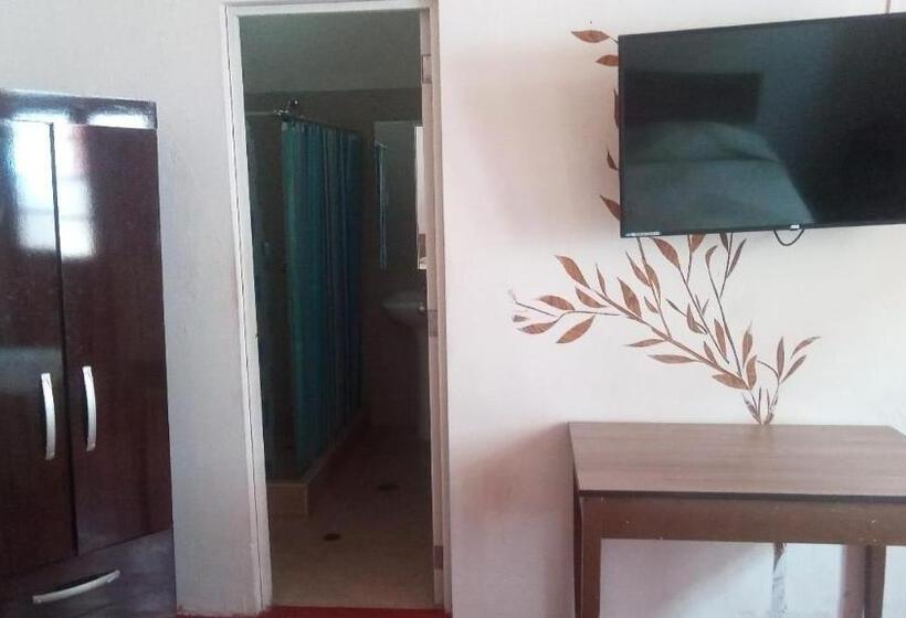 Номер Стандарт Индивидуальный Совместная Ванная, Gran