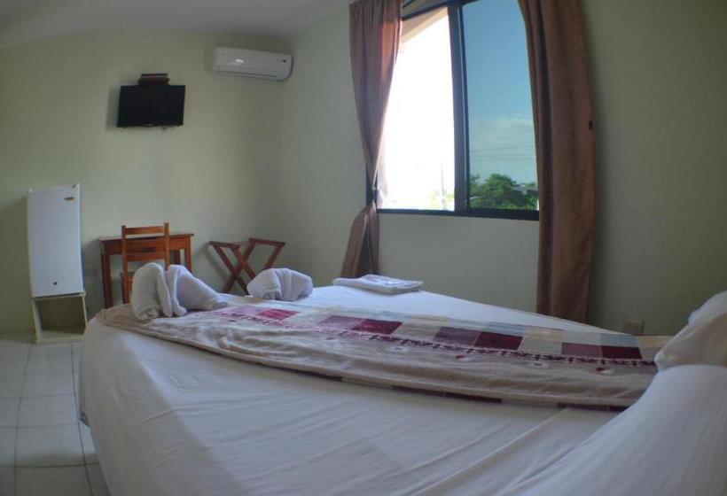 标准单人间, Hostal Andry