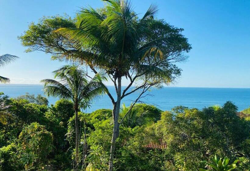 Deluxe Suite, Pousada Colibri