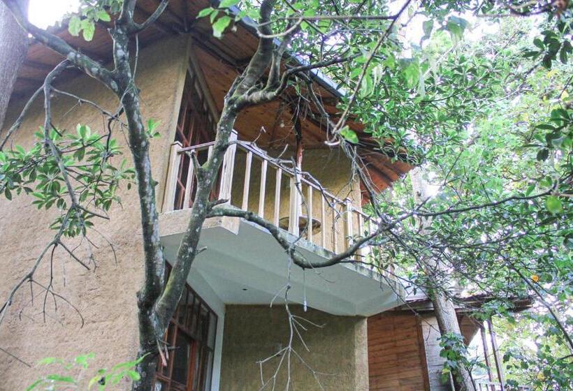 Номер Стандарт Верхний Этаж, Seasons Four