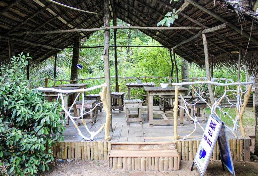 Номер Стандарт, Seasons Four