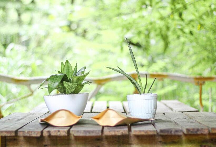 Номер Стандарт Верхний Этаж, Seasons Four