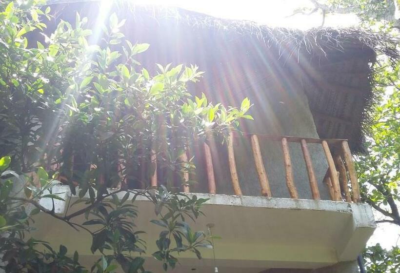 Номер Стандарт Верхний Этаж, Seasons Four