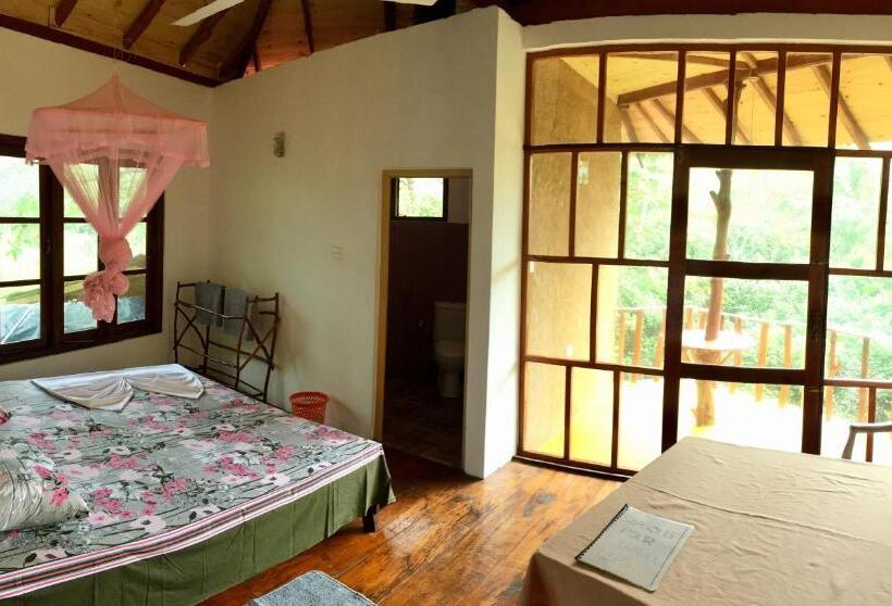 Номер Стандарт Верхний Этаж, Seasons Four