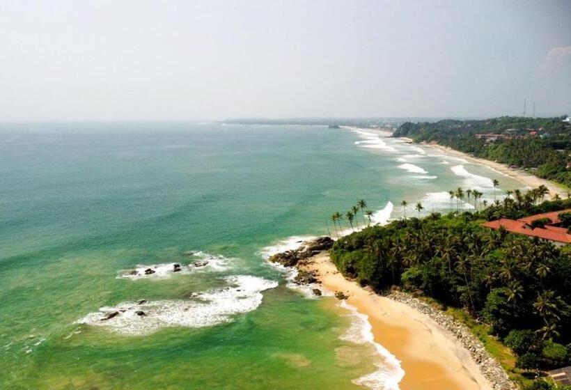 Номер Стандарт Верхний Этаж, Seasons Four