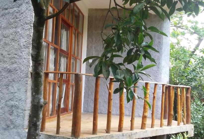 Номер Стандарт, Seasons Four