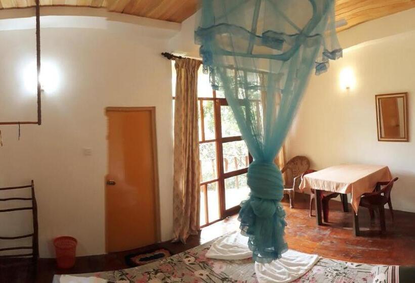 Номер Стандарт, Seasons Four