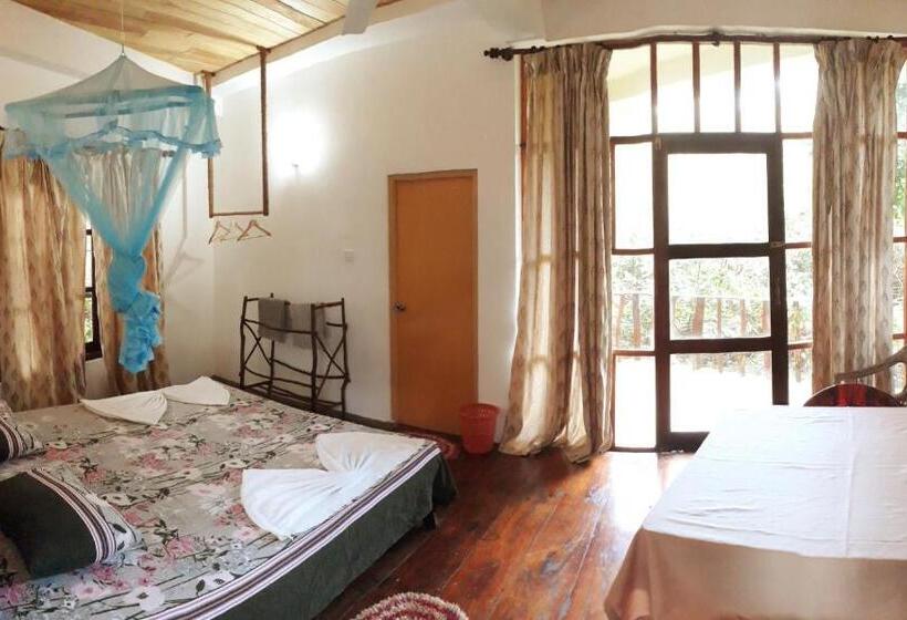 Номер Стандарт, Seasons Four