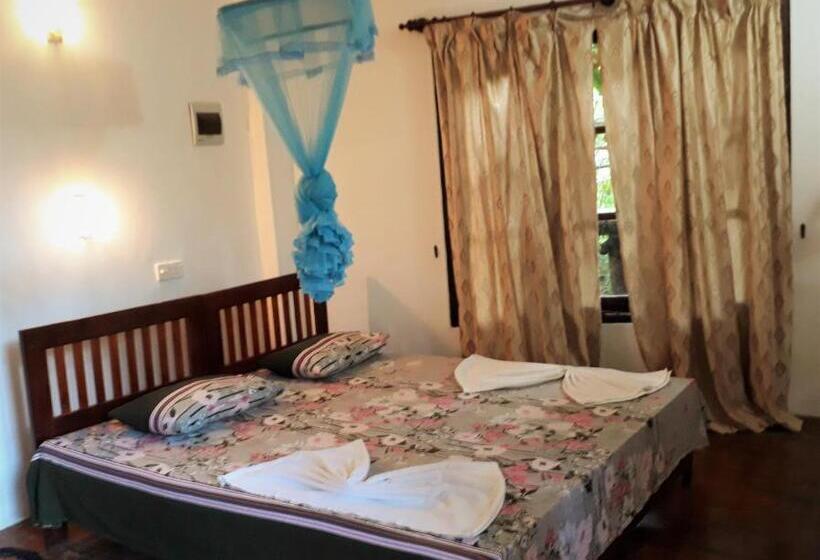 Номер Стандарт, Seasons Four