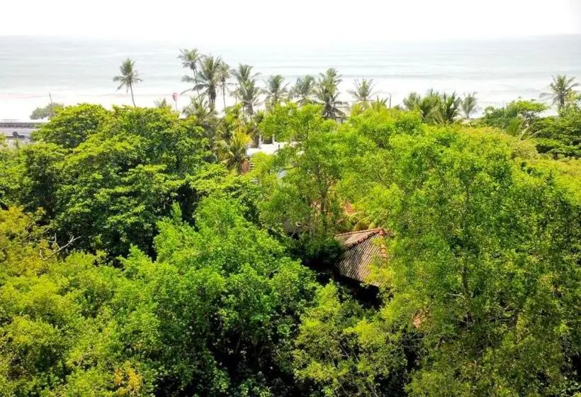 Standard-huone, Seasons Four