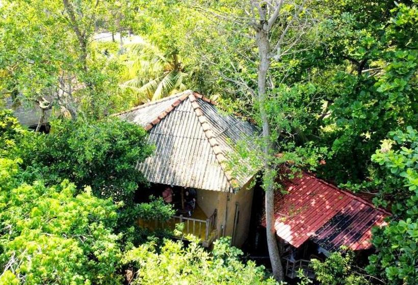 Номер Стандарт, Seasons Four