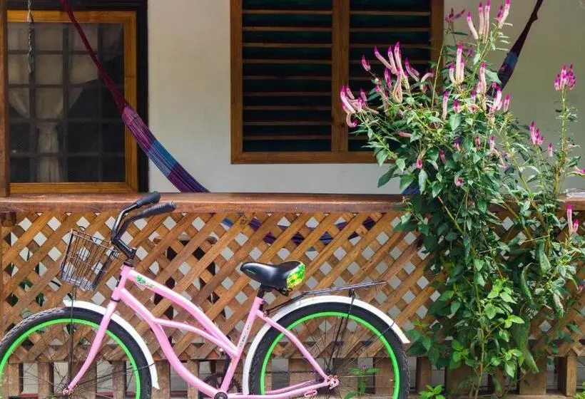 اتاق استاندارد با سرویس بهداشتی مشترک, Hostal Cecilia