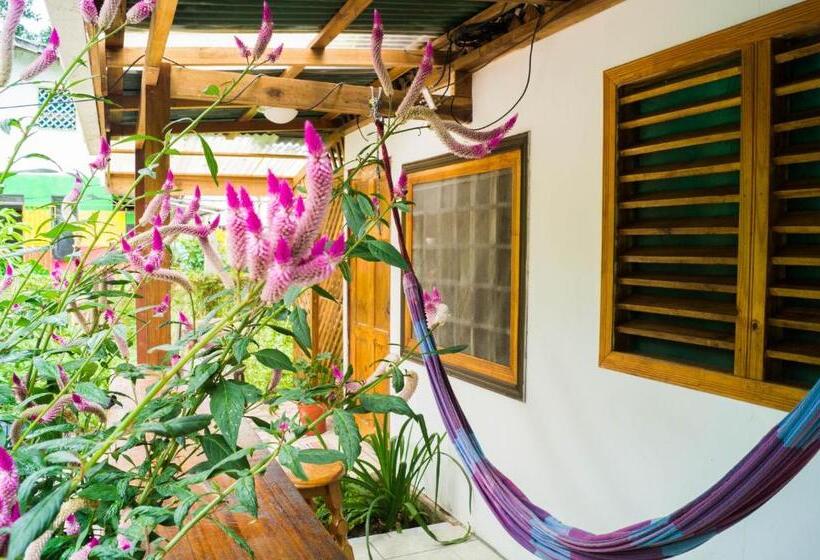 バス共有のスタンダードルーム, Hostal Cecilia