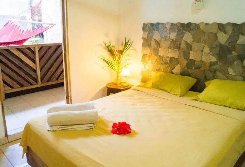 اتاق استاندارد, Hostal Cecilia