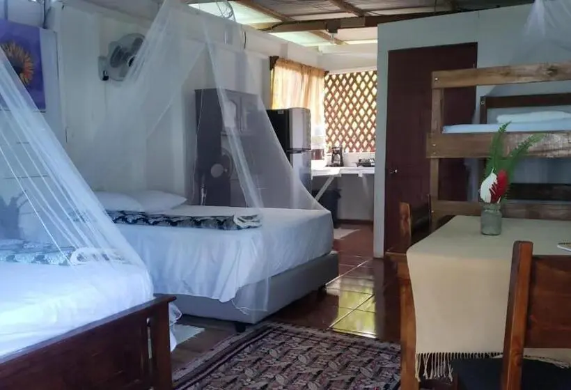 بانگلوی استاندارد با چشم‌انداز دریا, Hostal Cecilia