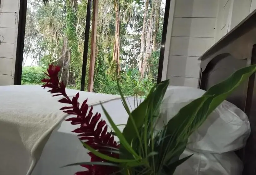 بانگلوی استاندارد با چشم‌انداز دریا, Hostal Cecilia