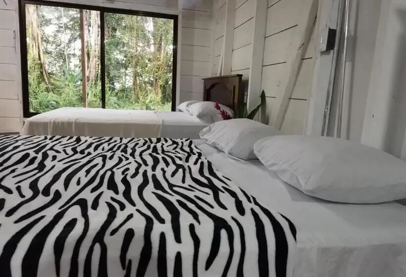 بانگلوی استاندارد با چشم‌انداز دریا, Hostal Cecilia