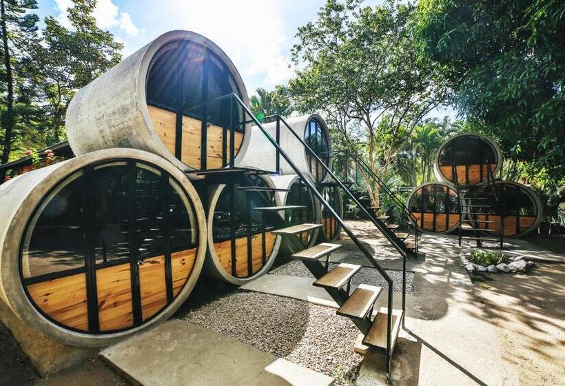 Номер Стандарт, Pipe House Playa Grande