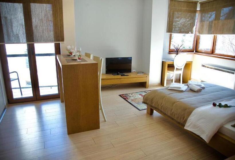 استودیو استاندارد با بالکن, Apartments Villa Splendor