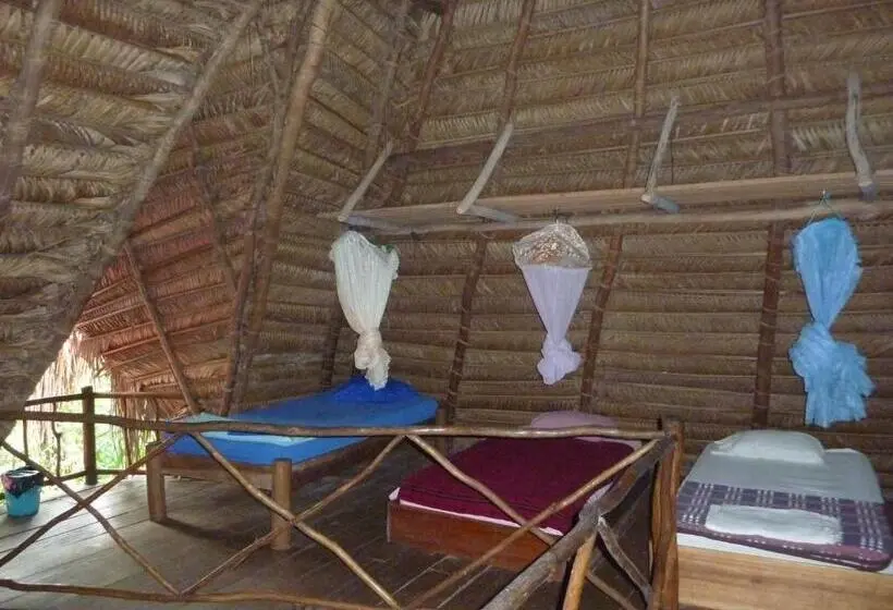 تختخواب در اتاق مشترک, Casa Perico