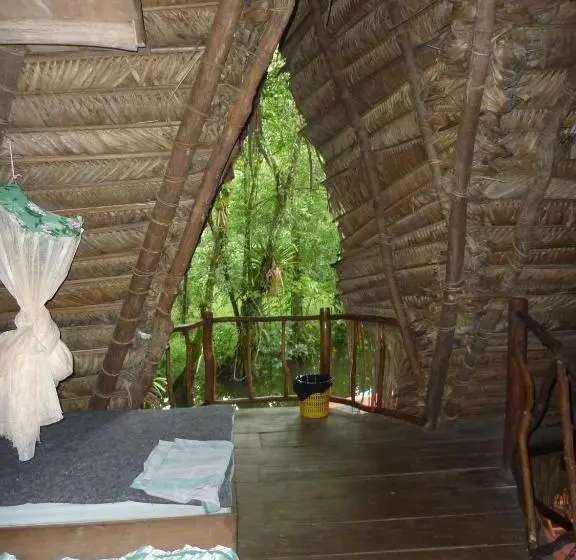تختخواب در اتاق مشترک, Casa Perico