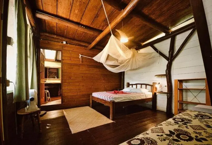 اتاق استاندارد سه نفره, Casa Perico