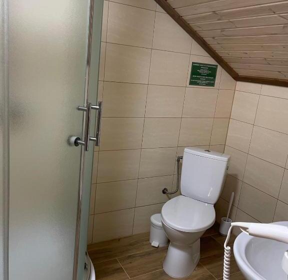 Номер Deluxe, Fortetsya