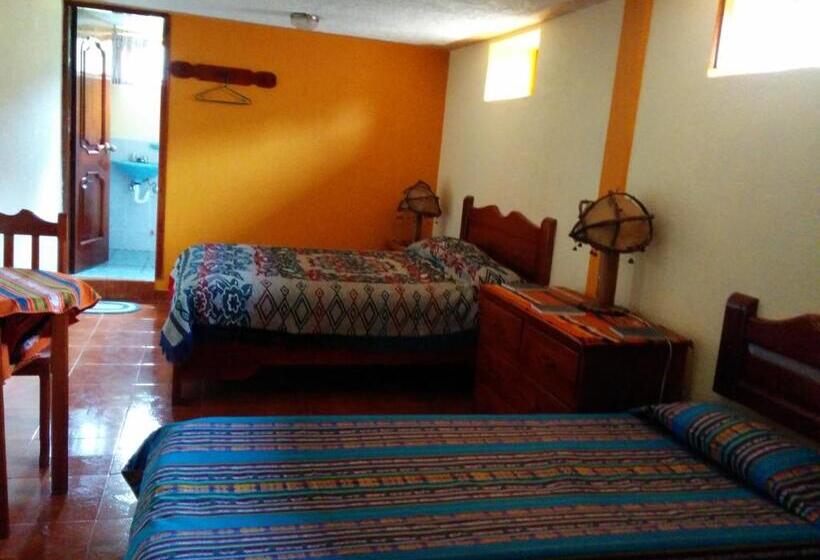 スタンダードシングルルーム, Hostal Curiñan