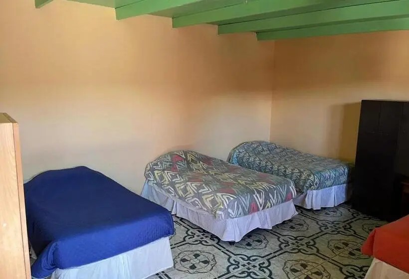 اتاق استاندارد چهارنفره با چشم‌انداز باغ, Hostal Tuyasto
