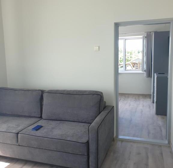 اتاق سوپریور خانوادگی, Svečių Namai ,, Opes Vyngis