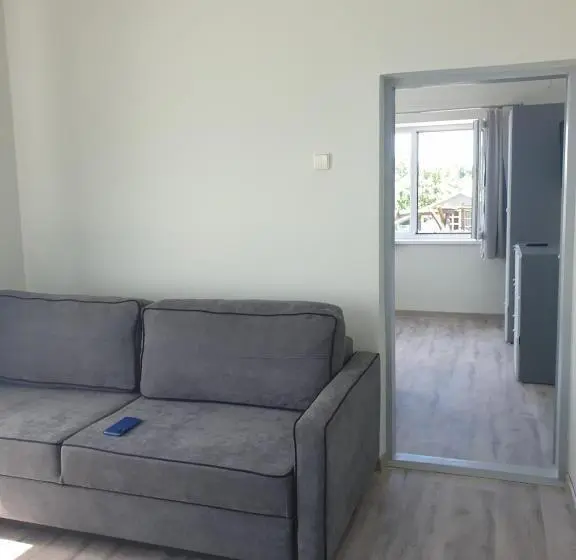 اتاق سوپریور خانوادگی, Svečių Namai ,, Opes Vyngis