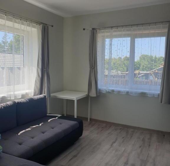 اتاق سوپریور خانوادگی, Svečių Namai ,, Opes Vyngis