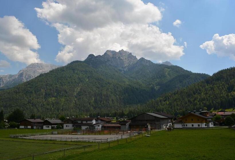 חדר סטנדרט עם מרפסת, Pension Foidl