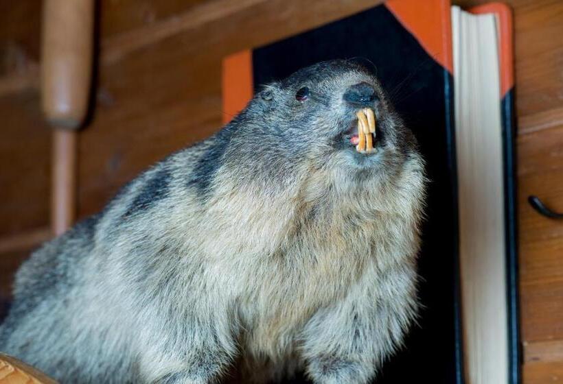 חדר משפחתי חדר אמבטיה משותף, Berggasthof Biberg