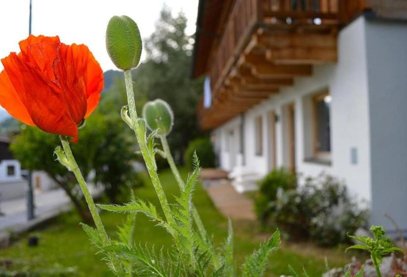 آپارتمان 2 خوابه, Alexandra Alber Villa Schlosskopf