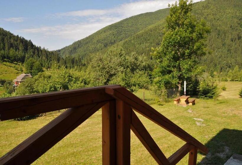 اتاق استاندارد با تخت بزرگ, Kozichky Guest House