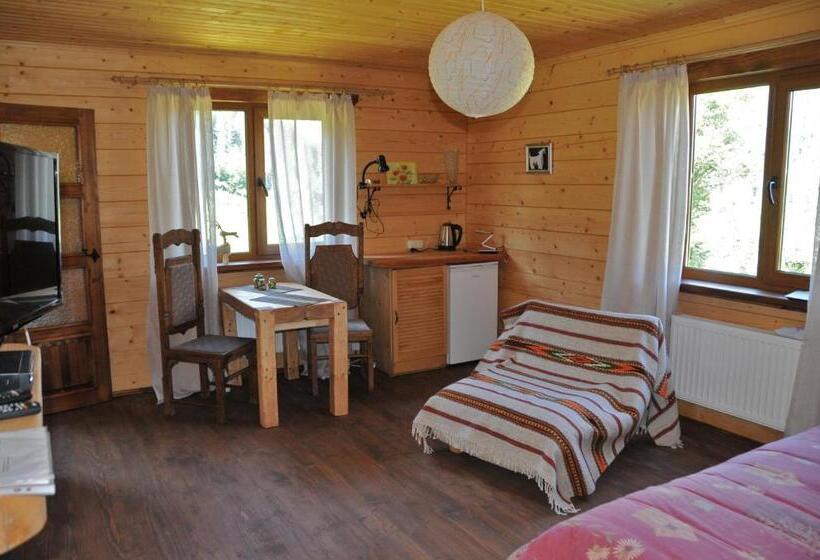 اتاق استاندارد با تخت بزرگ, Kozichky Guest House