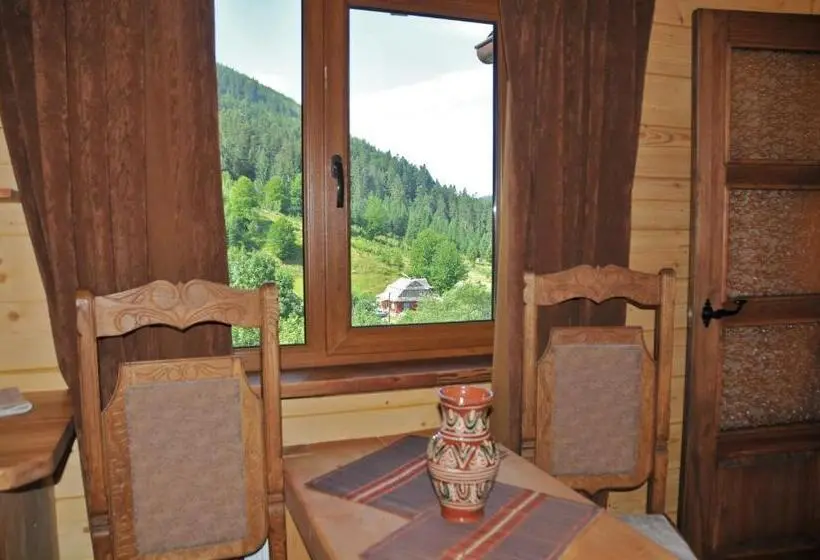 اتاق استاندارد با چشم‌انداز کوهستان, Kozichky Guest House