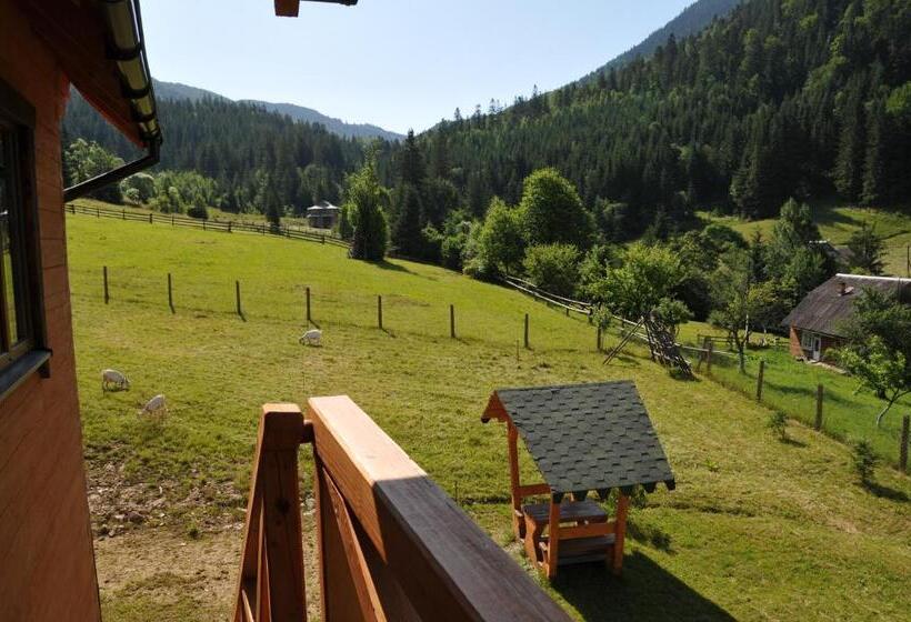 اتاق استاندارد با چشمانداز کوهستان, Kozichky Guest House