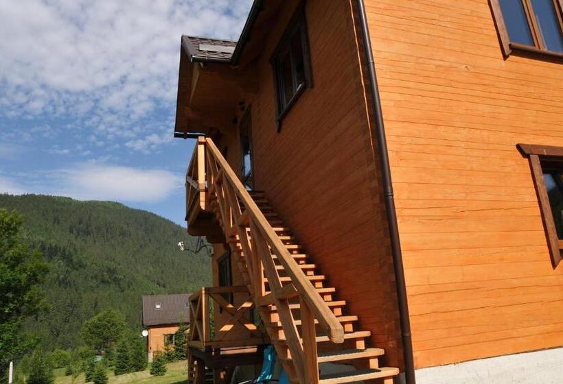 غرفة قياسية مطلة على الجبل, Kozichky Guest House