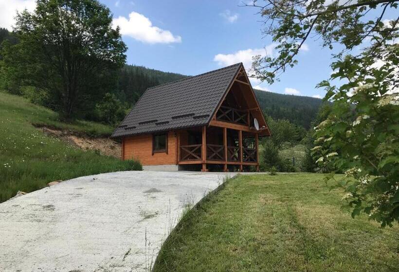 خانه 1 خوابه, Kozichky Guest House