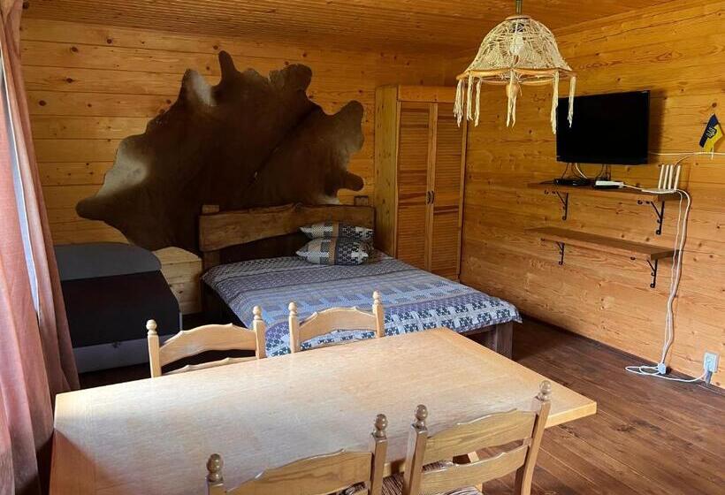 استودیو استاندارد با تخت کینگ, Kozichky Guest House