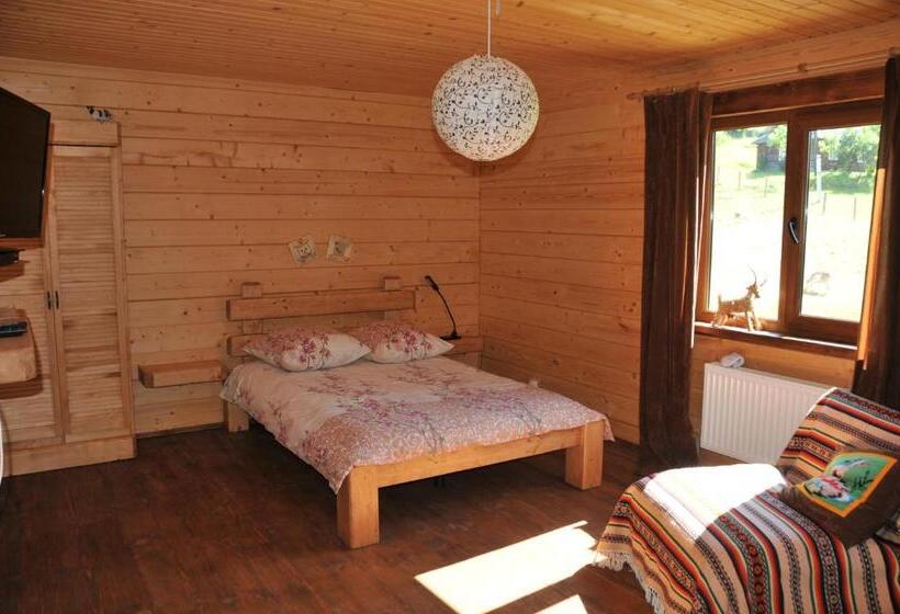 스탠다드 룸 산 전망, Kozichky Guest House